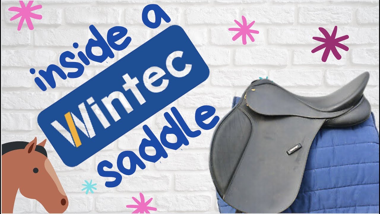 Wintec Saddle | LOOK INSIDE | Saddle Dissection - Let's cut it up and have a look!