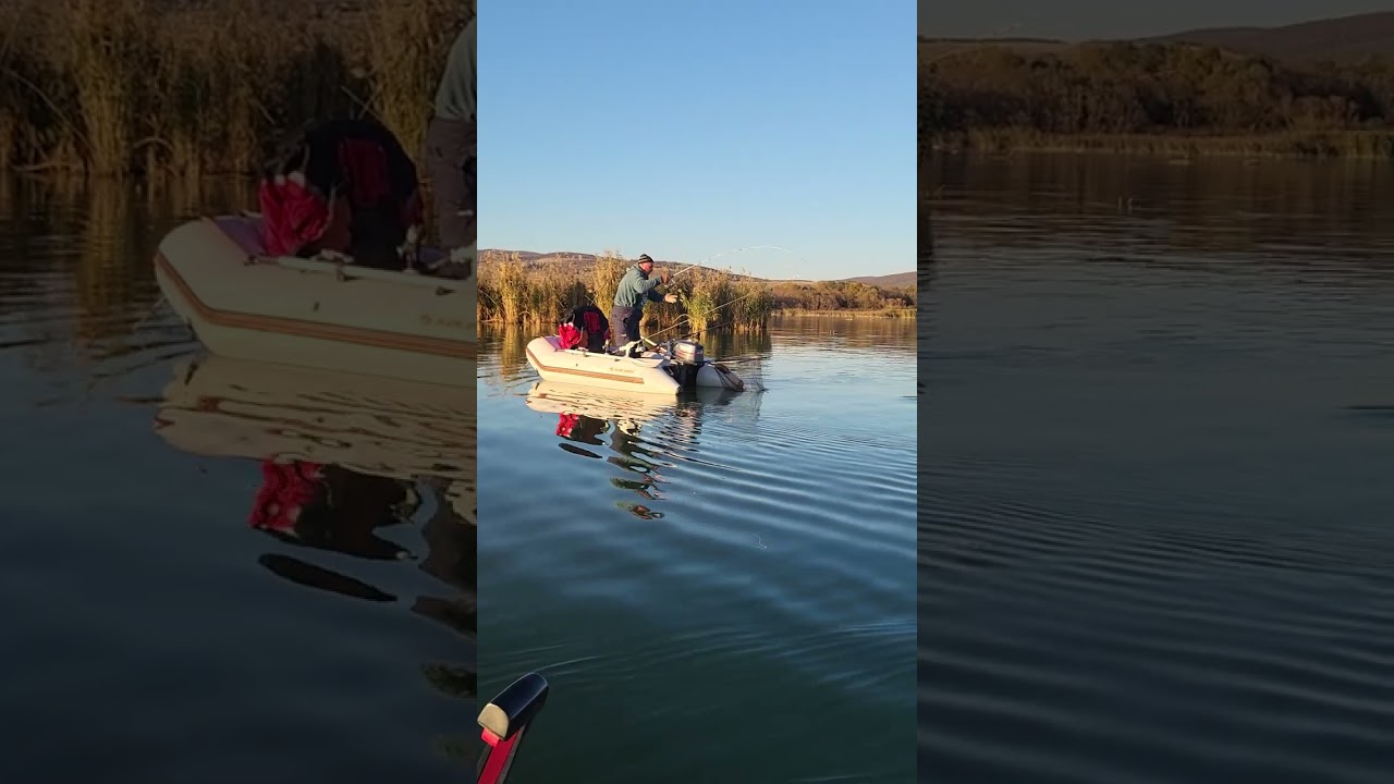 Crapu lu nea puiu