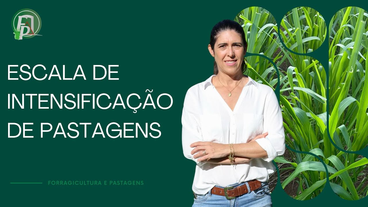 ESCALA DE INTENSIFICA&Ccedil;&Atilde;O DE PASTAGENS #pecuarista #pecuarista #fazenda
