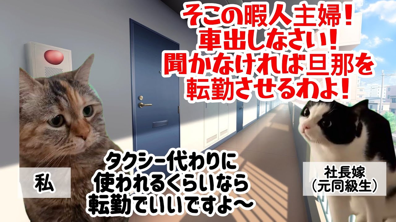 【スカッと猫ミーム】社長夫人「逆らえば旦那を転勤させるわ！」私「どうぞ？」→結果… #猫マニ  #猫ミーム