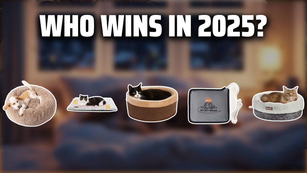 The Top 5 Best Heated Dog Beds in 2025 - Must Watch Before Buying!