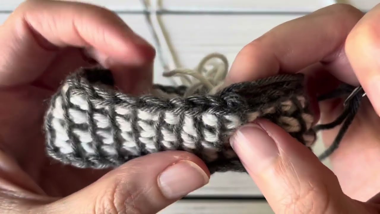 Tunisian Crochet Round: Double Ended Hook