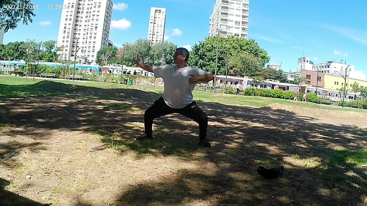 Chi Kung (Ba Duan Jin) Explicación racional