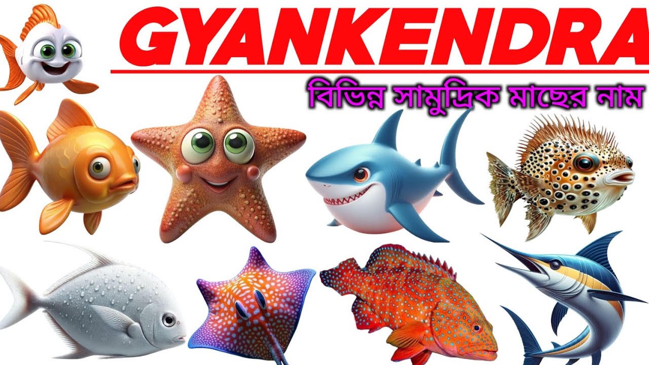 Sea Animals Name 🐋🐬 | Sea Animals for Kids | Sea Animals Name Bengali to English | Animals Name