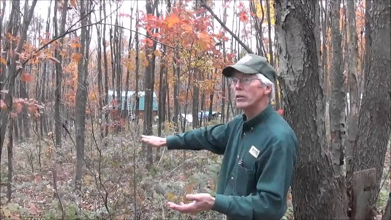 I Invited The DCNR County Forester Over To Talk About Land Management
