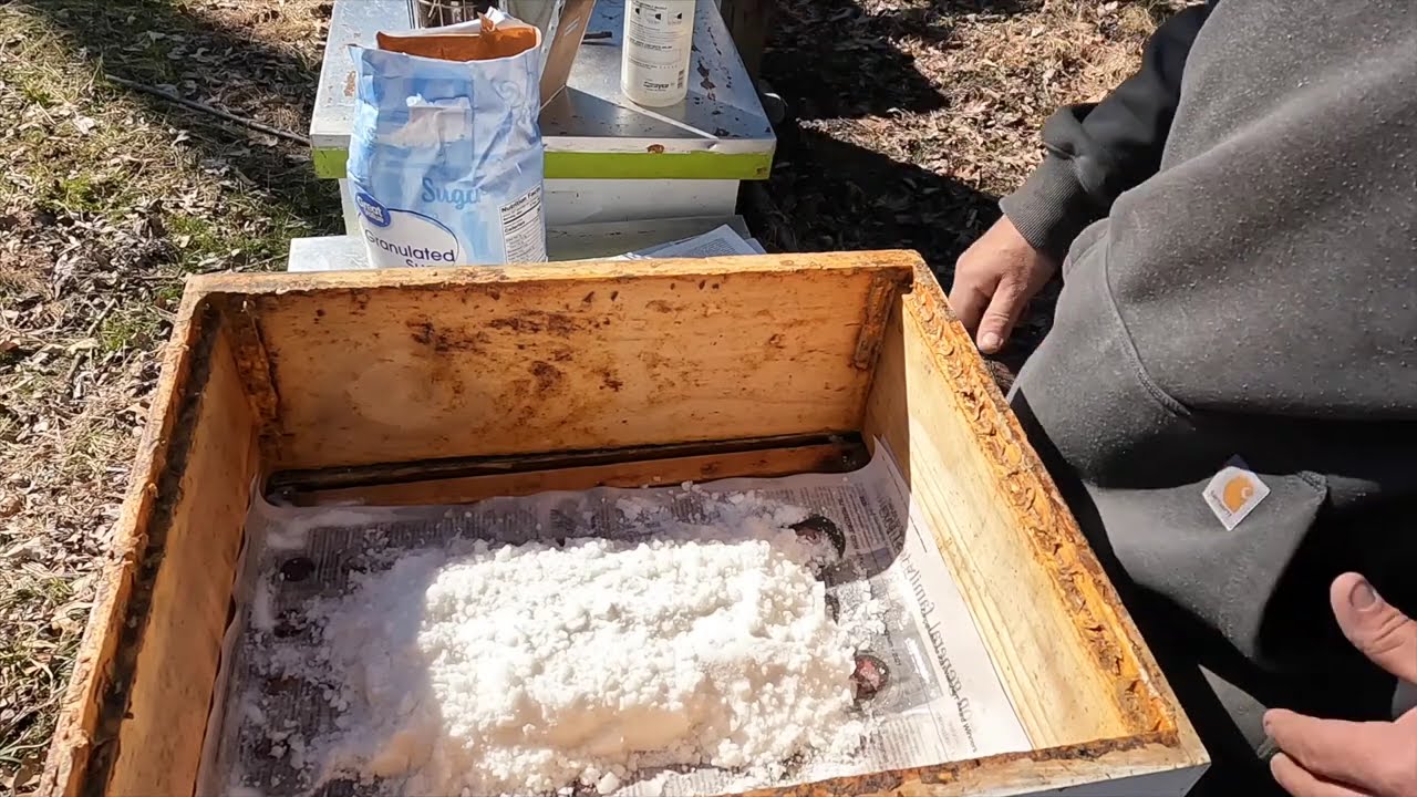 Feeding Honeybees Dry Sugar Via the Mountain Camp Method