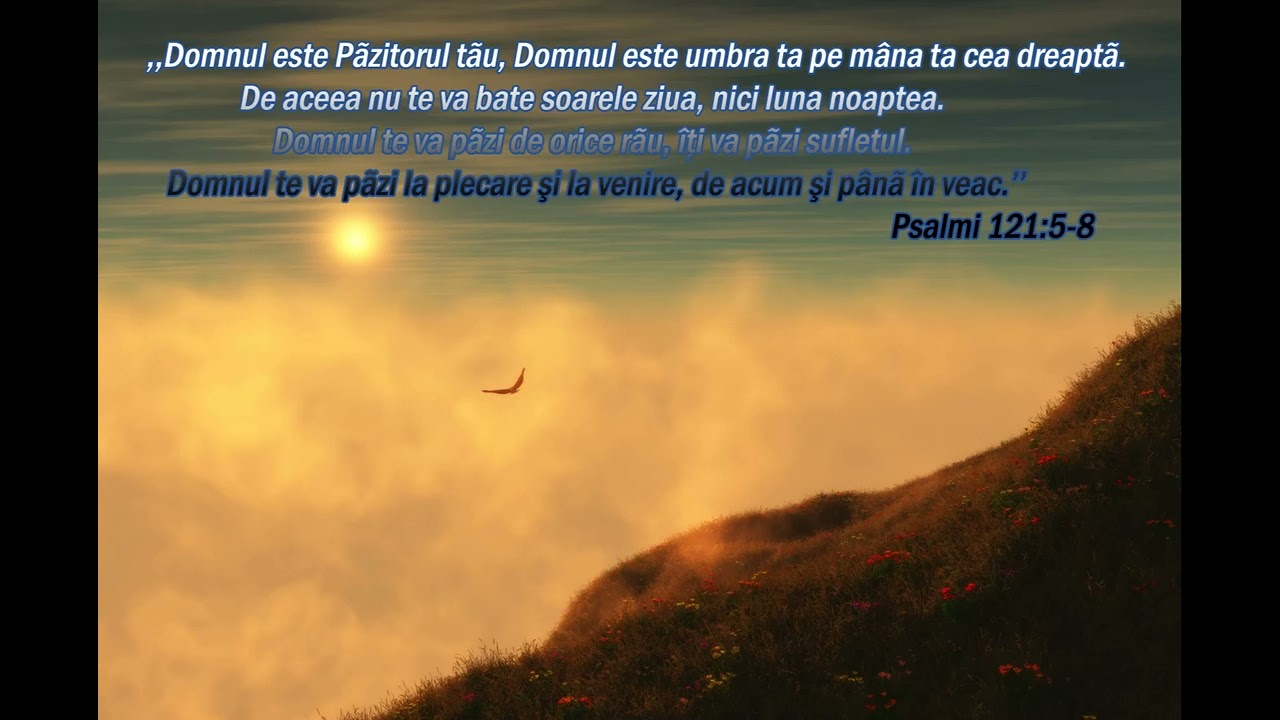 Fr Toderas de la Izvin - Marturii Arad 2024