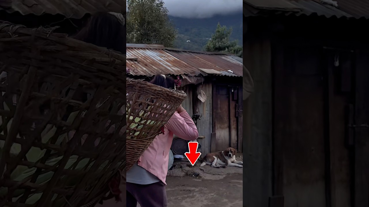 🌿 Pure Organic Village Life | Natural Beauty of Rural Living