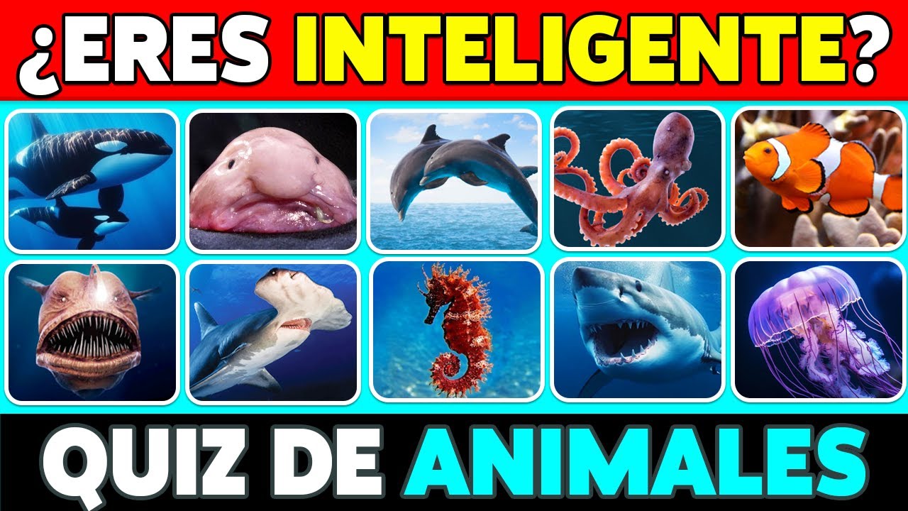 🧠 ¿Cuánto Sabes de ANIMALES MARINOS? 🐳🦐✅ 45 Preguntas de CULTURA GENERAL ✅