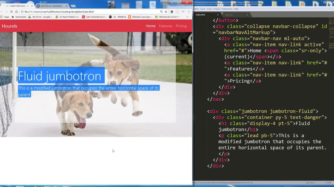 4  Making images responsive and more Bootstrap practice