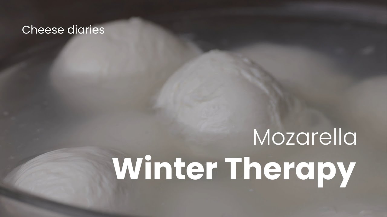 A Quiet Winter Day Making Mozzarella