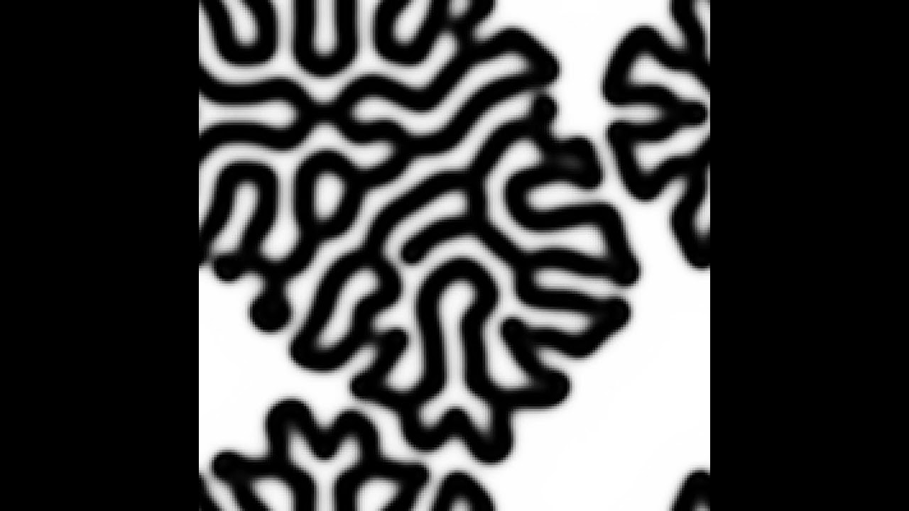 Reaction Diffusion Algorithm (seamless) (2)