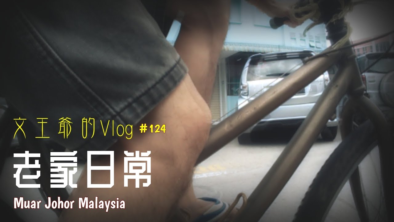 文王爷的Vlog #124 老家日常 #麻坡Vloging