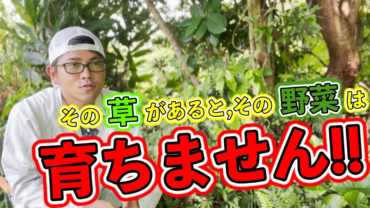 【超大事】畑に生える草！無視してませんか！？畑の状態やどんな野菜が育つか分かります．