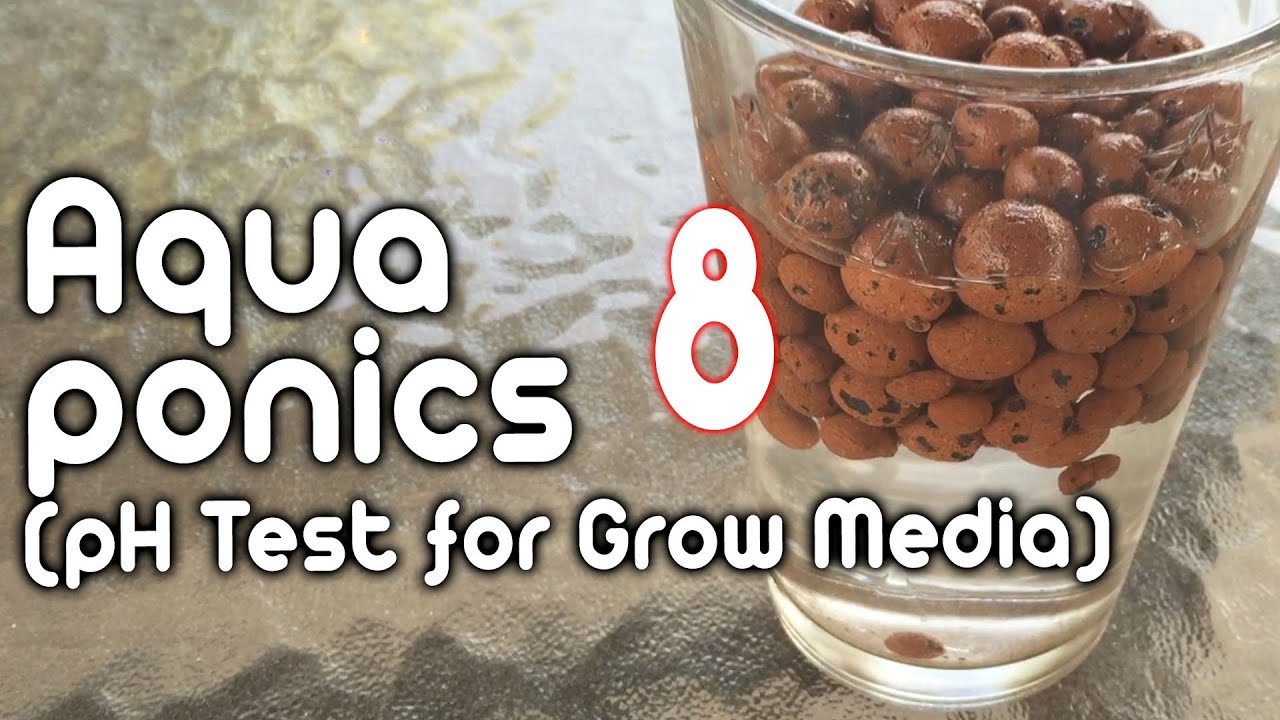 Aquaponics 8 - (pH Test for Grow Media)
