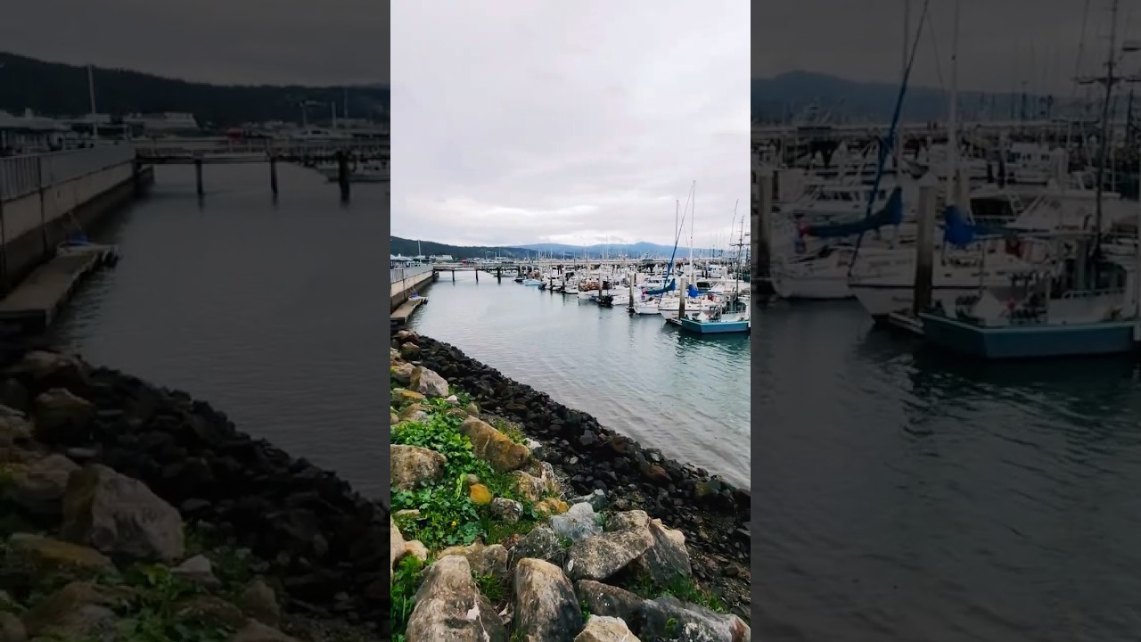 California 🌙 Beach