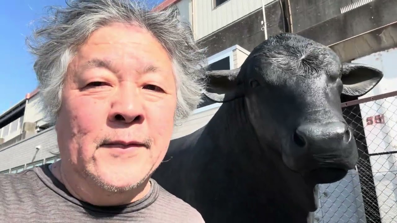 #旅ラン　千葉県の幕張から、ラムサール条約登録、「谷津干潟」までの道を走る！！