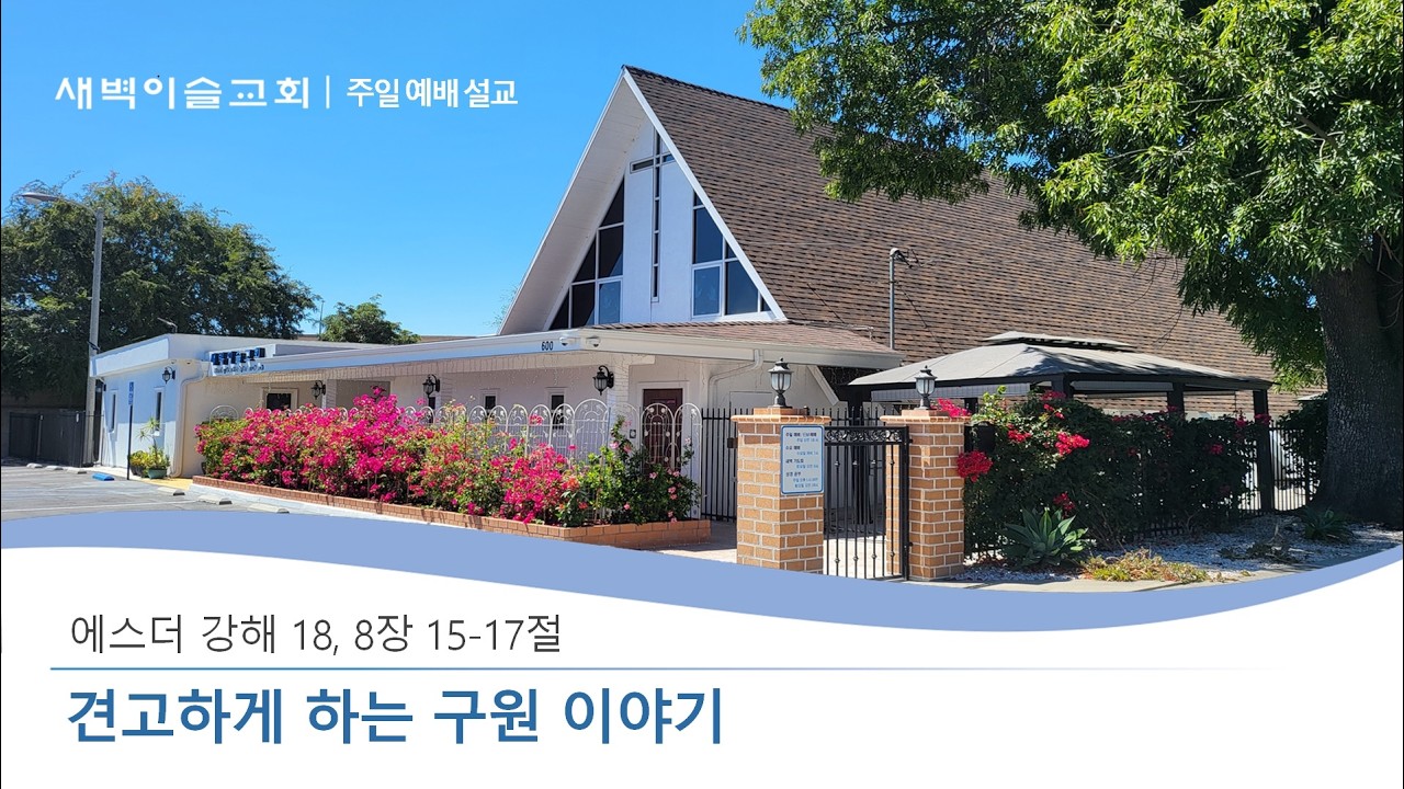 새벽이슬교회, 에스더 강해 18 (에 8:15-17), 윤해규 목사, 2026.03.15