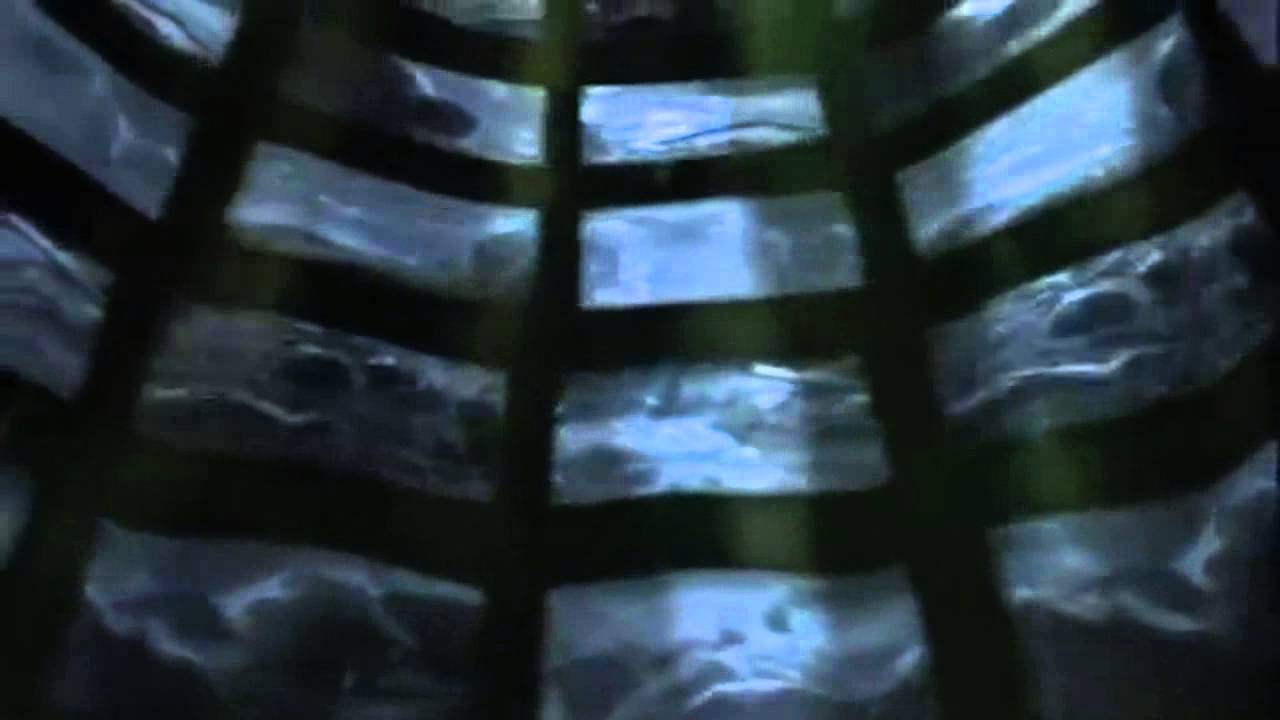 Dolphin's Mind - L'Esperanza (16:9) HQ