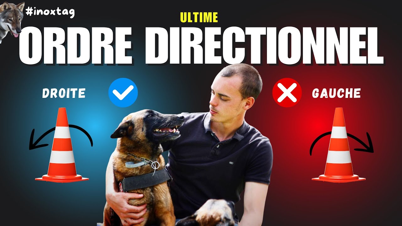 Ordre Droite/Gauche !!! avec un Ace le chien d'inoxtag  ( tuto expresse )