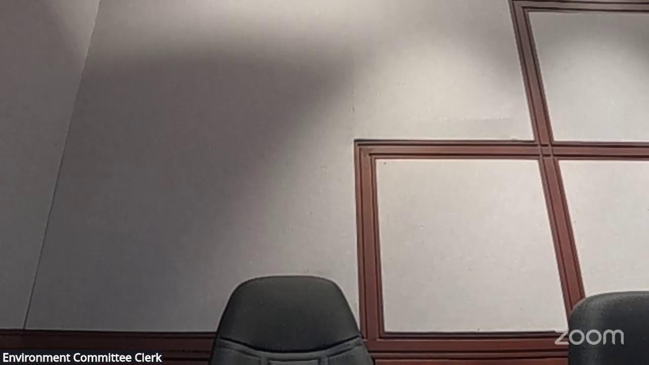 Environment Committee Meeting