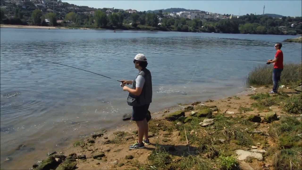 Pesca e Liberta - Rio Douro - Pesca de Tainha