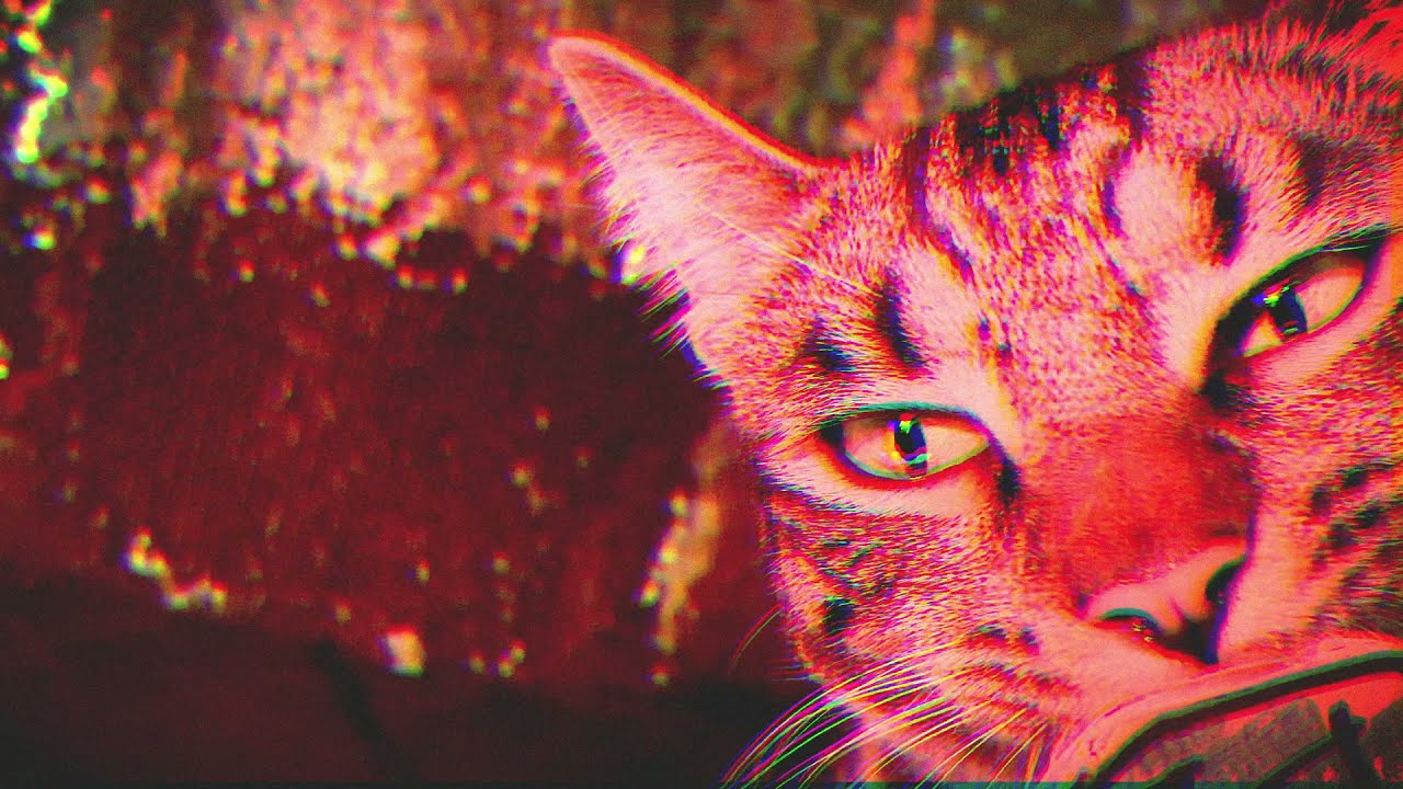 No Berlin - It's Not Stealing If You Don't Get Caught (Official Video)