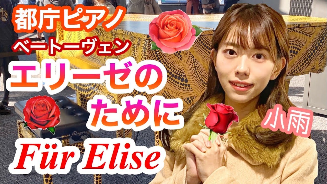 【都庁ピアノ】永遠の名曲【エリーゼのために】Für Elise/For Elise