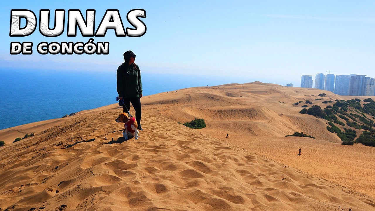 NO VAYAS SIN SABER ESTO - DUNAS DE CONCÓN - Viajando por Chile en Furgo Camper VanLife - T1/C35