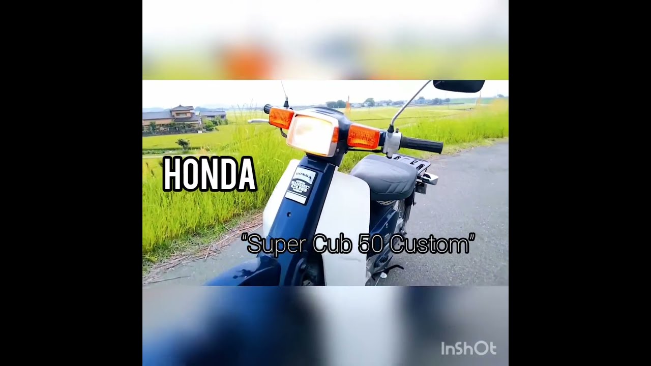 【SUPER CUB 50 Custom―角目カブ―】#角目カブ