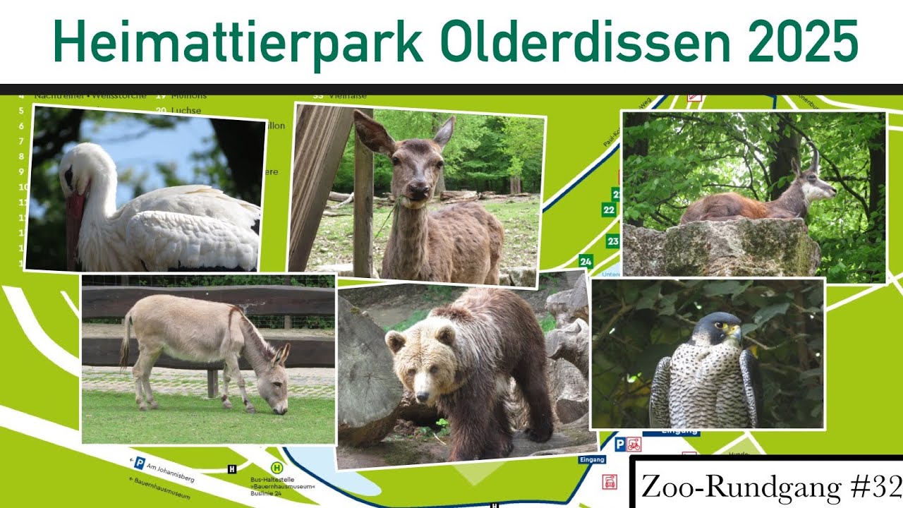 Heimattierpark Olderdissen in Bielefeld 2025 | Zoo-Rundgang #32