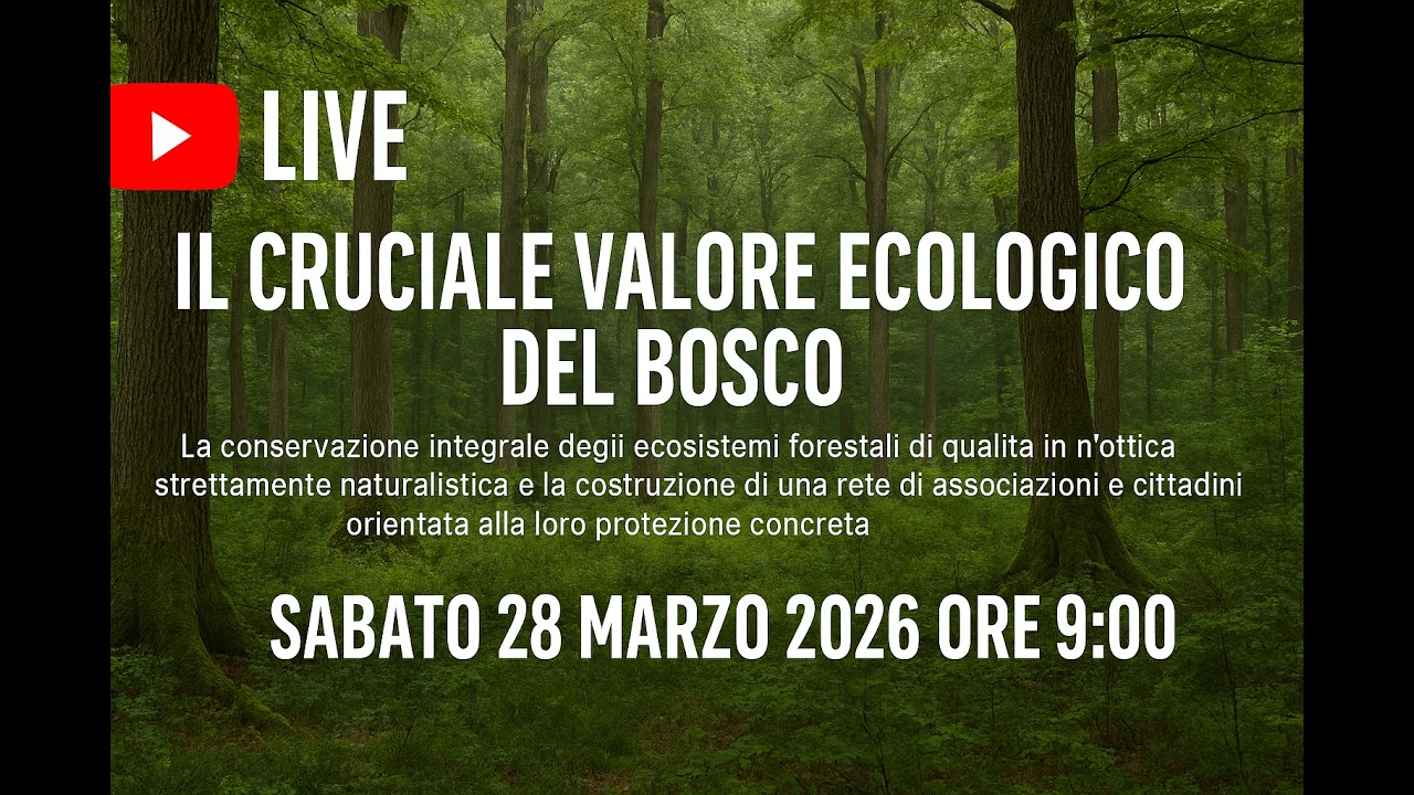 Il cruciale valore ecologico del bosco