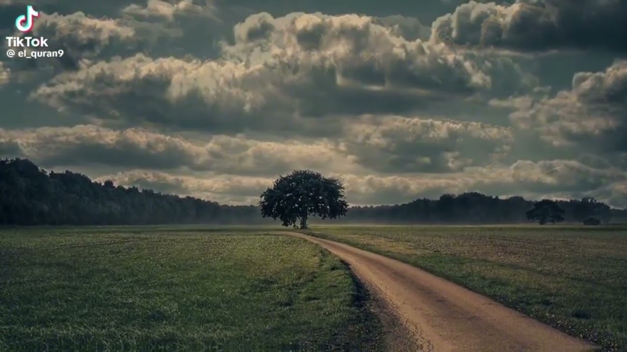 هنا مروا وكانوا قدوة للناس 