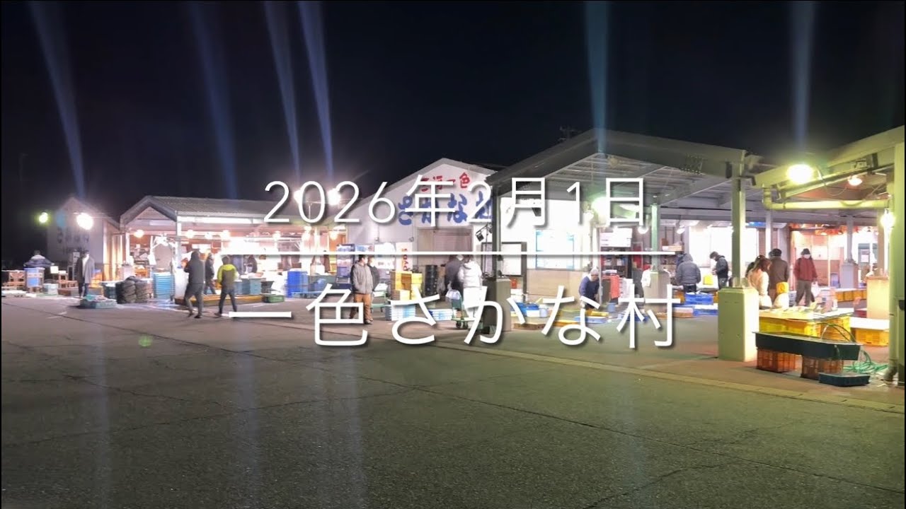 【厳しい現実】2月の朝市【魚が消えた】『一色さかな村』リアルを公開