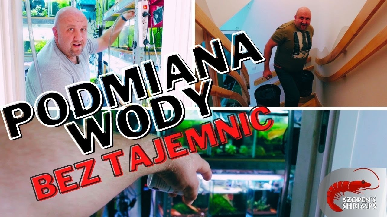 DZIEŃ PODMIAN WODY - CARIDINA BEZ TAJEMNIC OD A DO Z