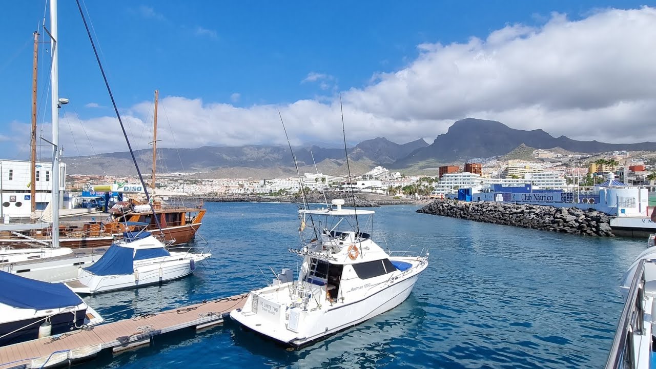 Dolfijnen en walvissen spotten op Tenerife