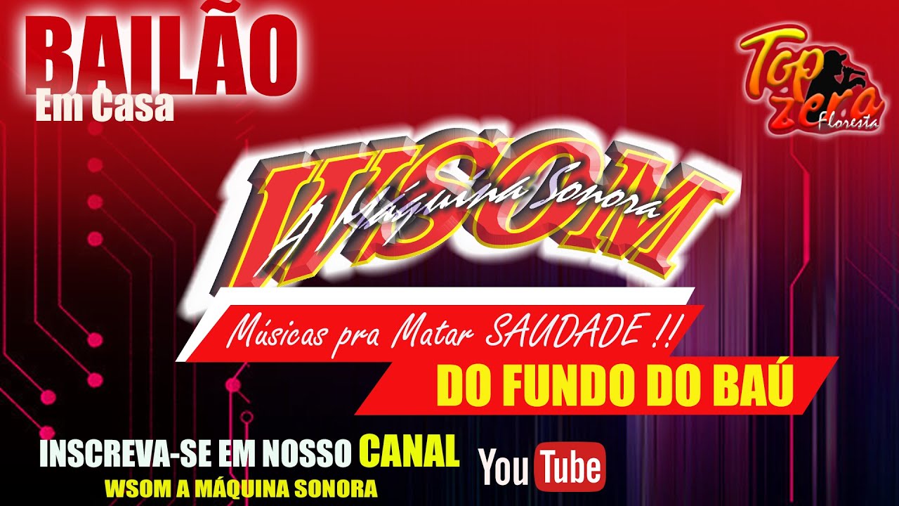 Músicas pra Matar Saudade