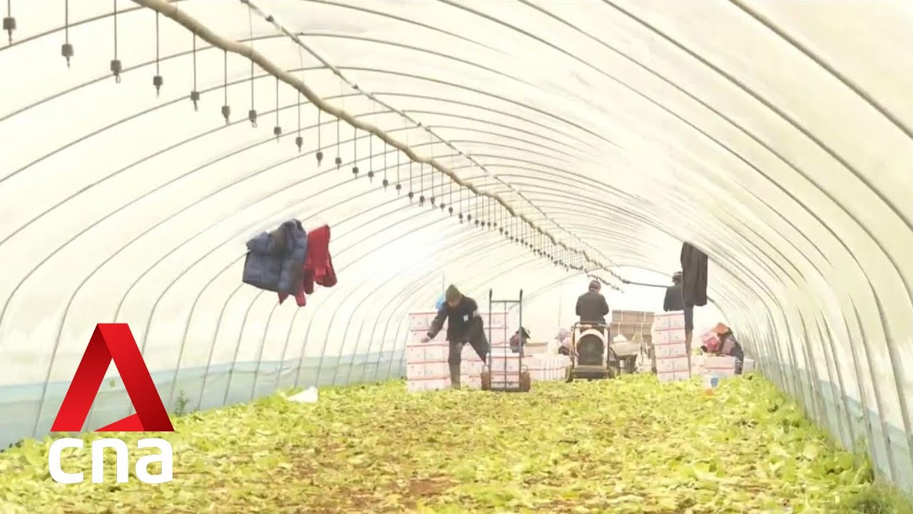 South Korea bringing in migrant workers amid labour shortage