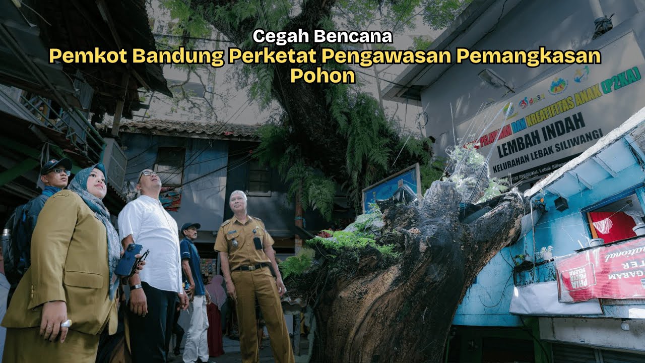 Cegah Bencana, Pemkot Bandung Perketat Pengawasan Pemangkasan Pohon