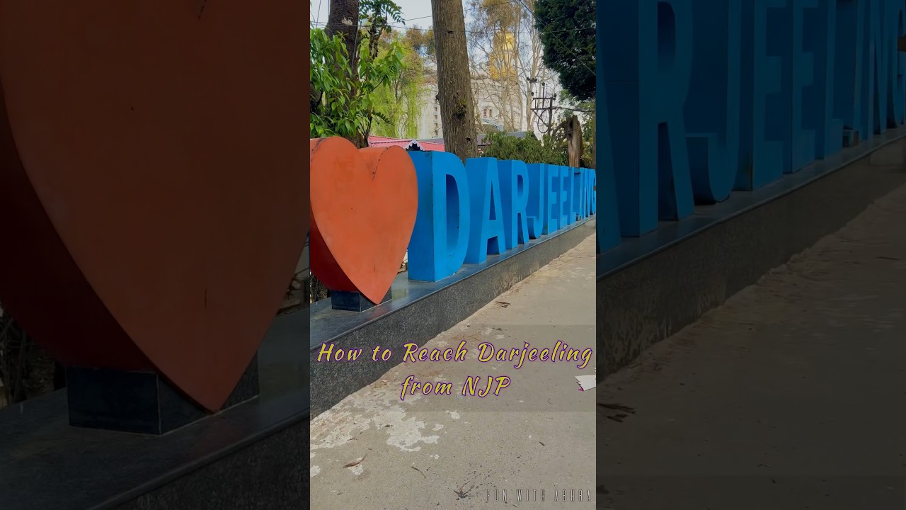 How to Reach Darjeeling from NJP / Siliguri #shorts #travel #reels #journey #darjeeling #love