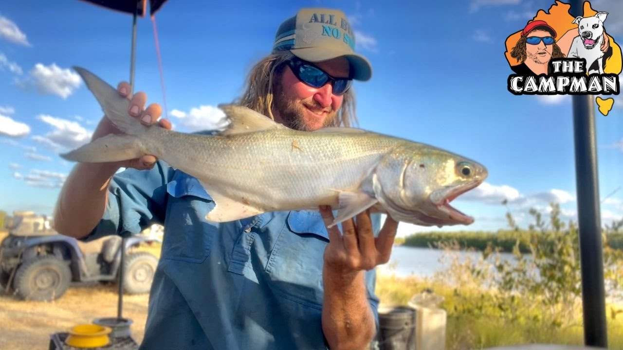 FISH ON...ALBERT RIVER...MOUNGIBI (BURKETOWN)