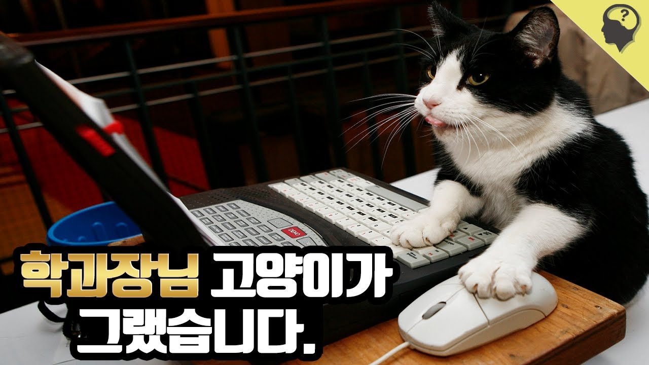 저명한 물리 학술지에 고양이가 논문을 썼다고?