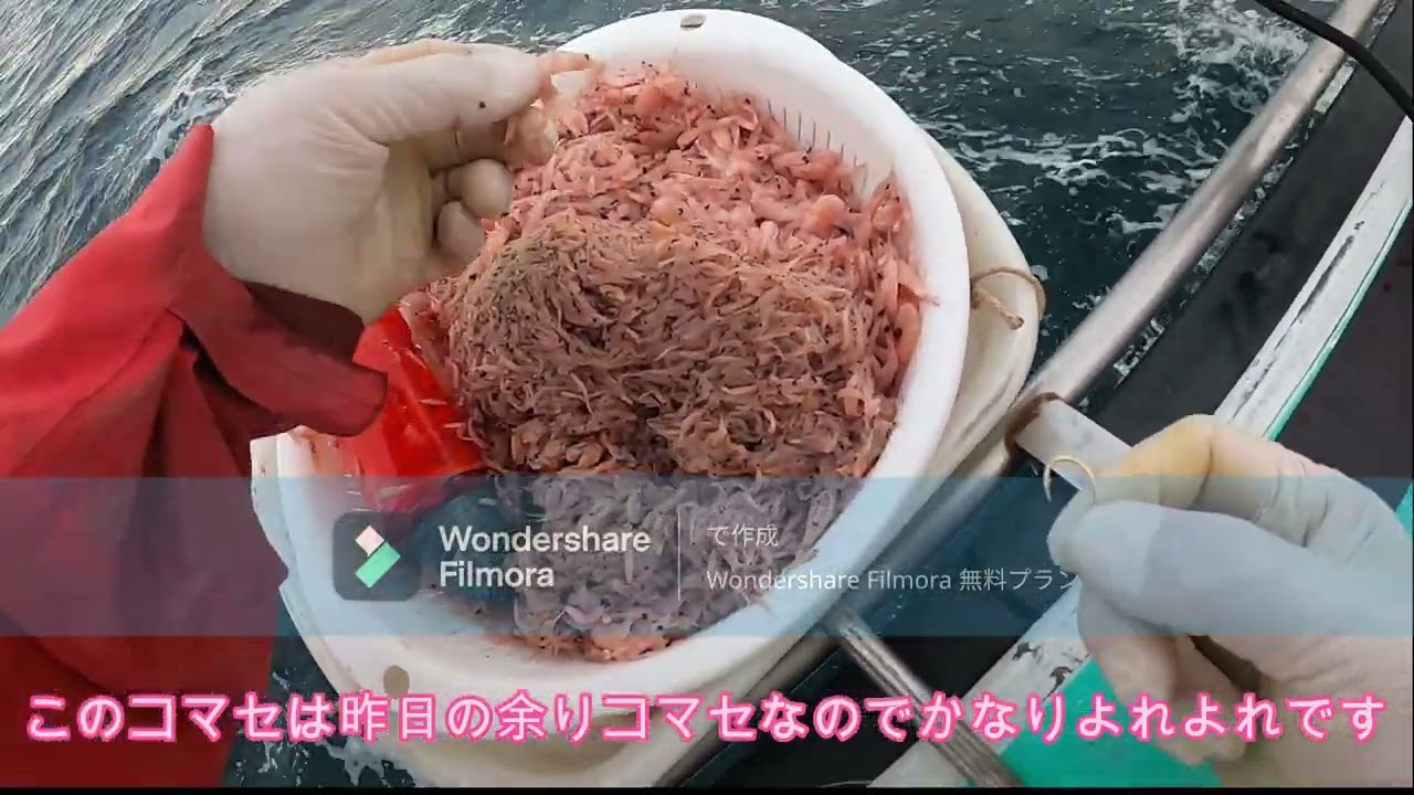 2023/11/25～27・シマアジ当たりから取り込みまで