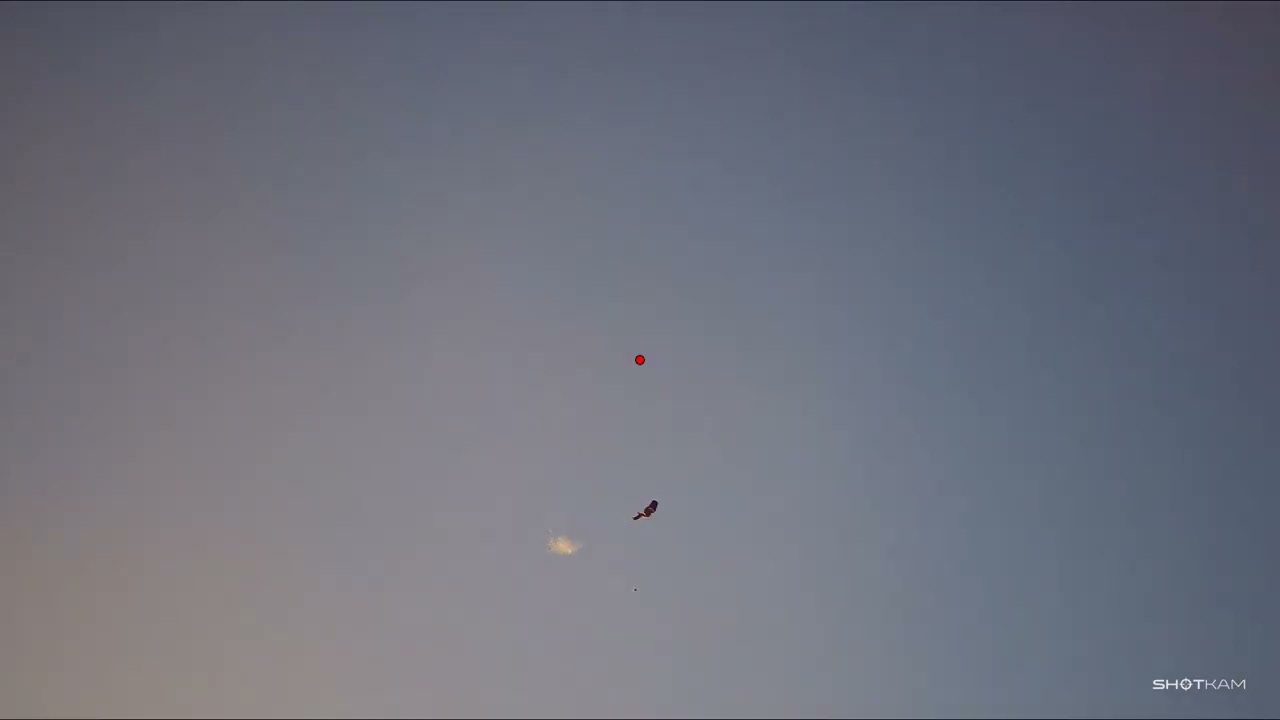 Dove hunt