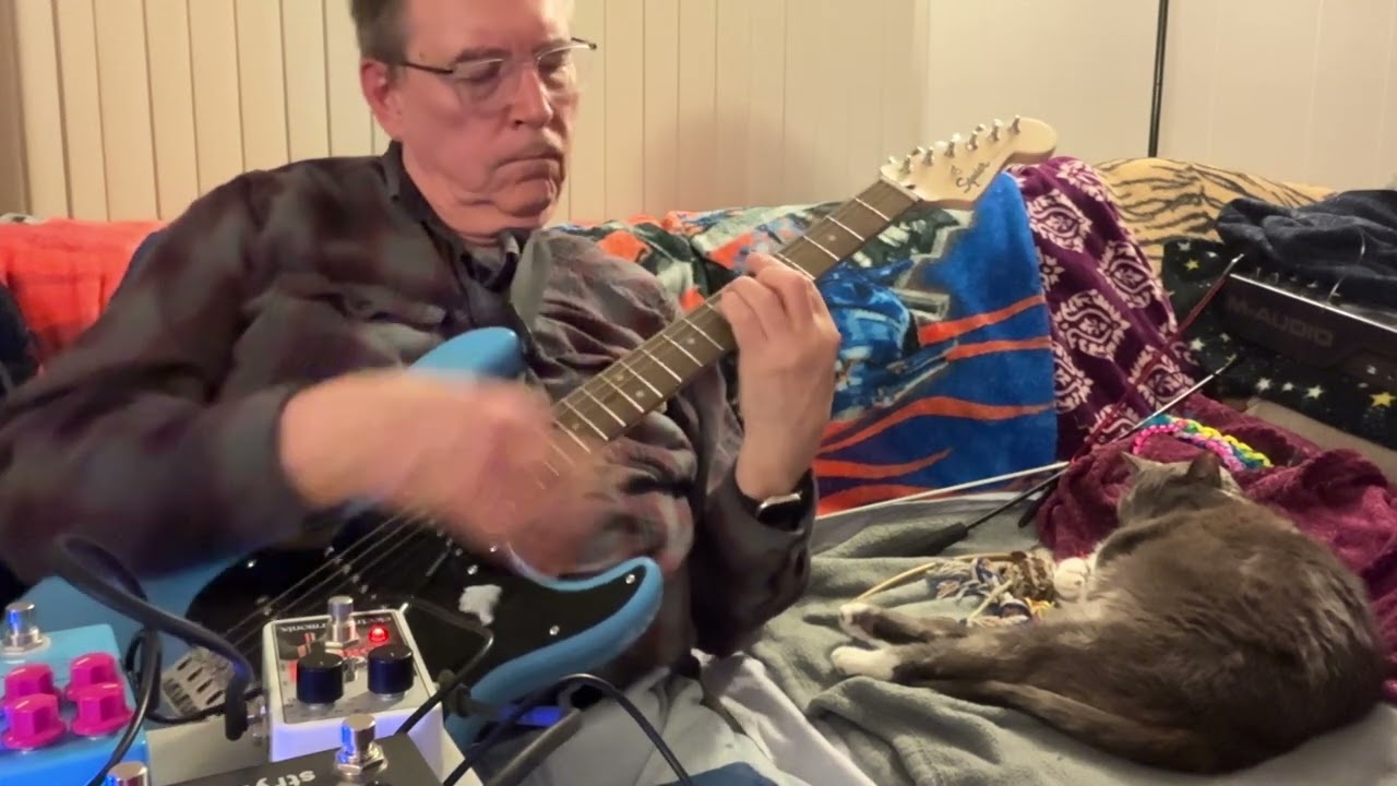 January 27, 2026 evening with cat and guitar