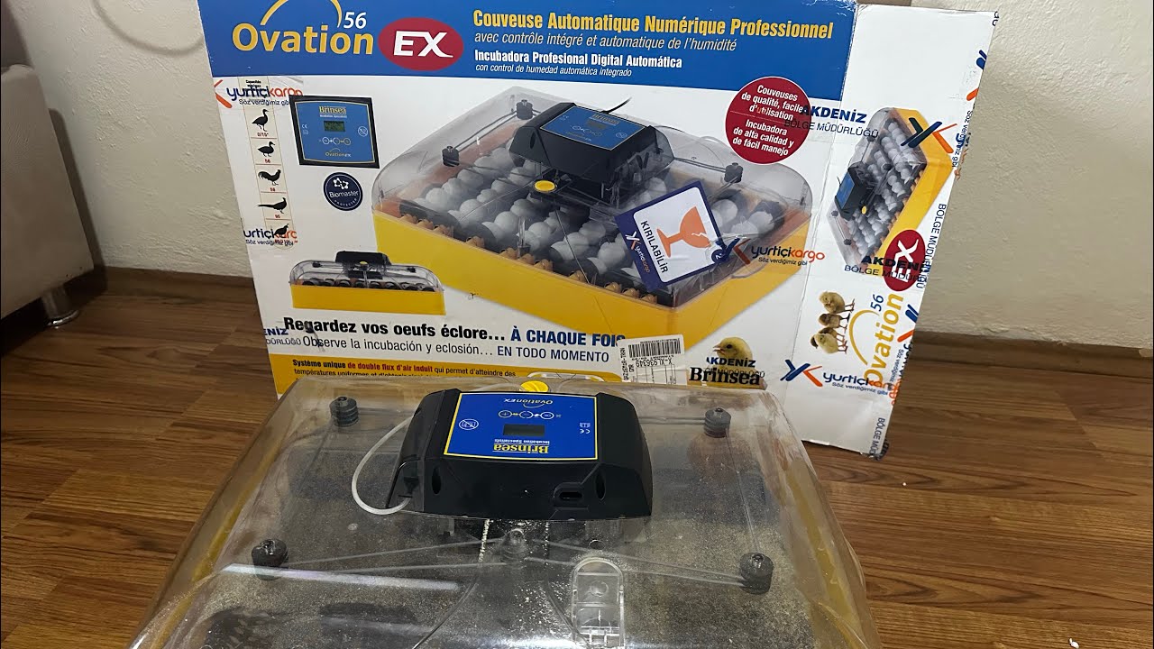 BRİNSEA OVATİON EX 56 hobi KULUÇKA MAKİNASI #eggincubator  #hobby kuluçka #civciv #kalite