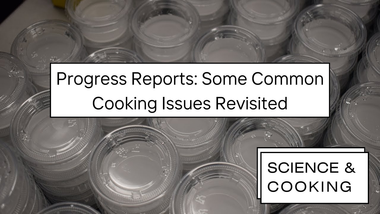 Progress Reports: Some Common Cooking Issues Revisited - Dave Arnold & Harold McGee