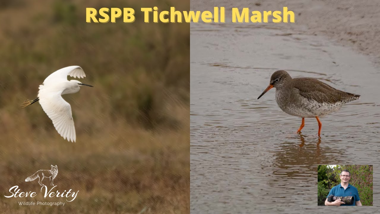 RSPB Tichwell Marsh2