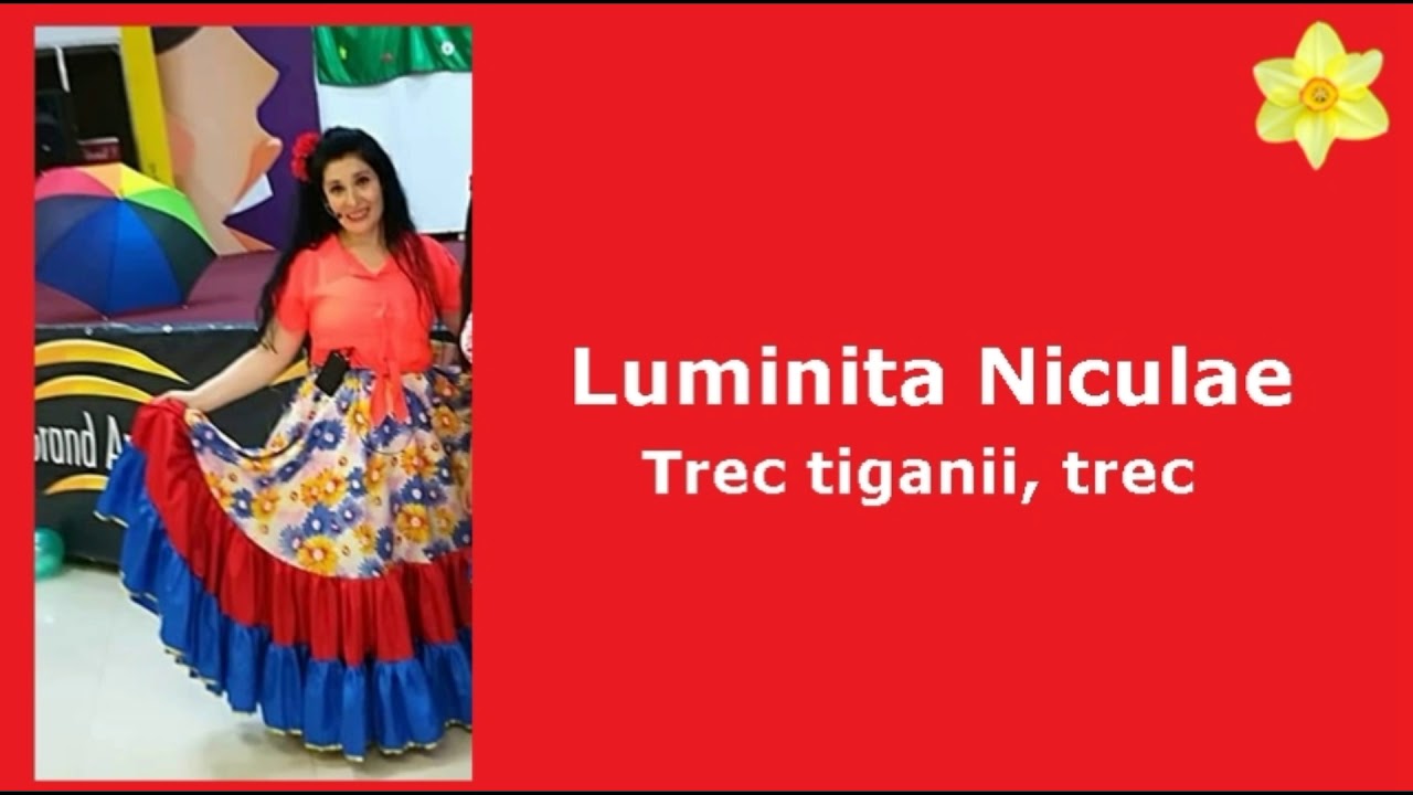Luminita Niculae - Trec tiganii , trec (Cover)