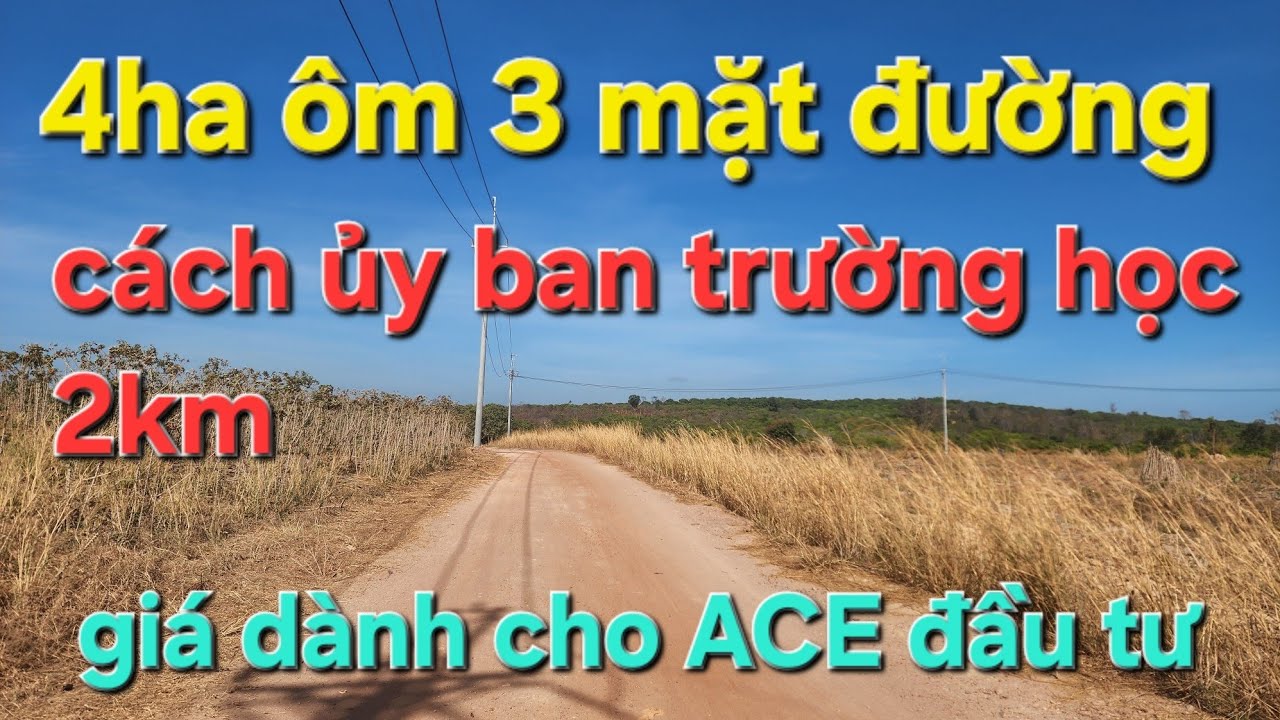 4ha ôm 3 mặt đường hơn 500m. Giá dành cho ACE đầu tư. Cách ủy ban trường học chỉ 2km 